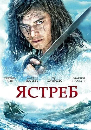 Ястреб Ястреб