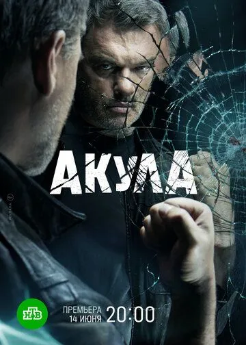 Акула Акула