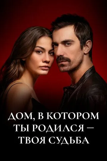 Дом, в котором ты родился - твоя судьба Дом, в котором ты родился - твоя судьба